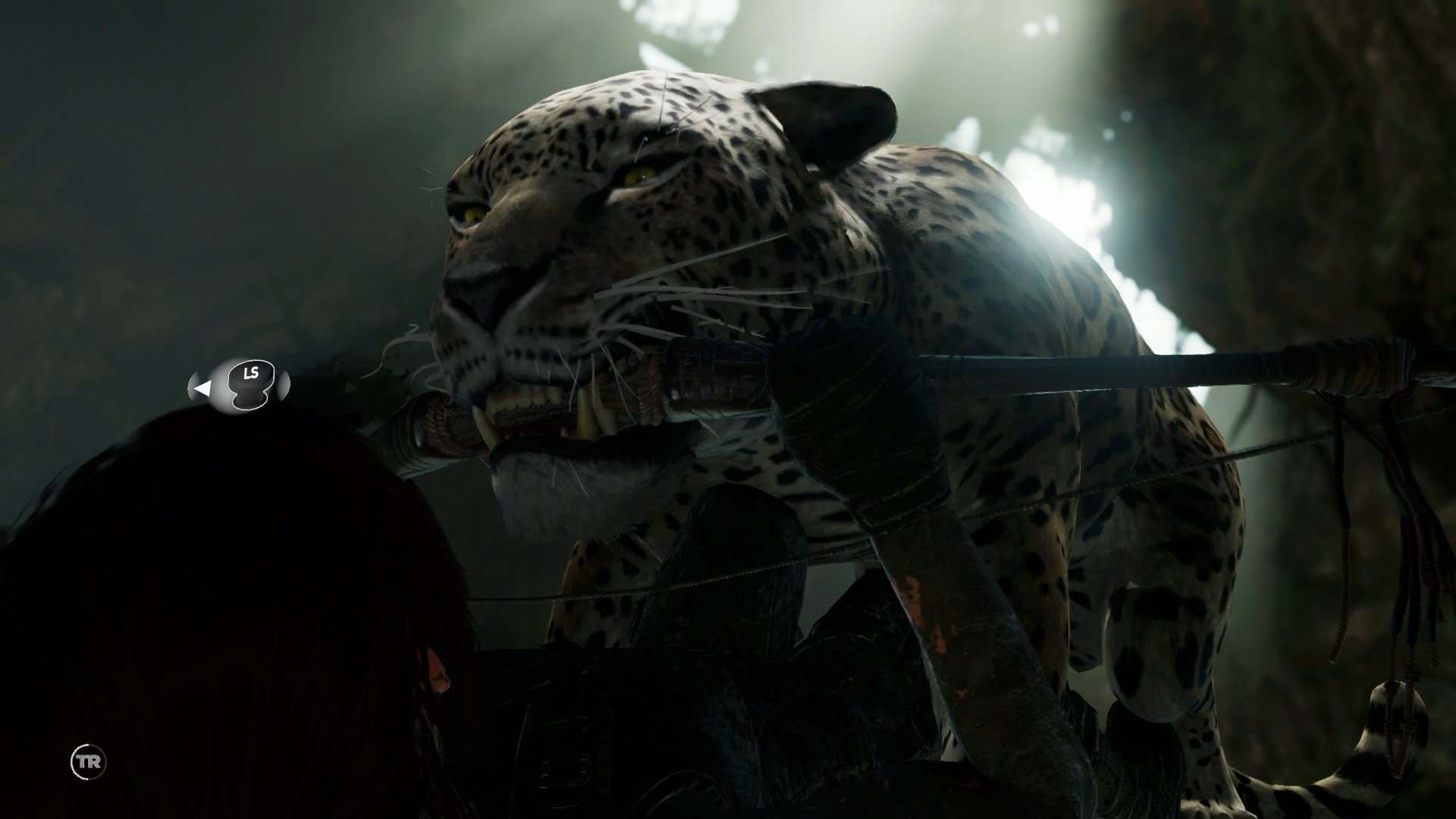 Shadow of the Tomb Raider - Imagen 3